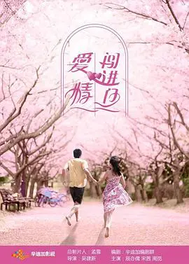 《爱情闯进门》：青春悸动与浪漫邂逅的甜蜜碰撞